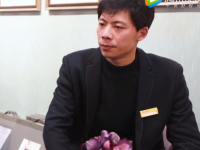 墙布展：雅绣之家品牌创始人汪煜伟采访视频 (1358播放)